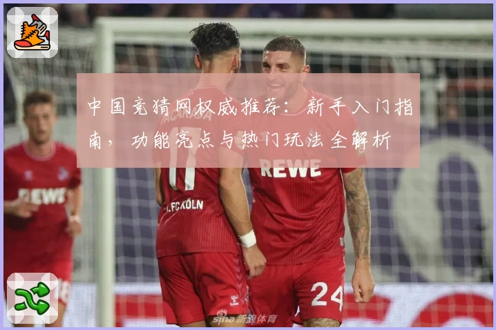 中国竞猜网权威推荐：新手入门指南，功能亮点与热门玩法全解析