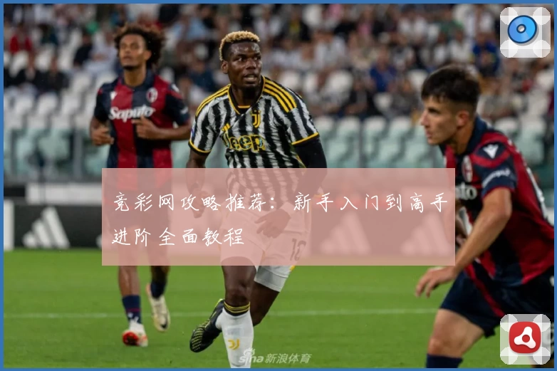 竞彩网攻略推荐：新手入门到高手进阶全面教程