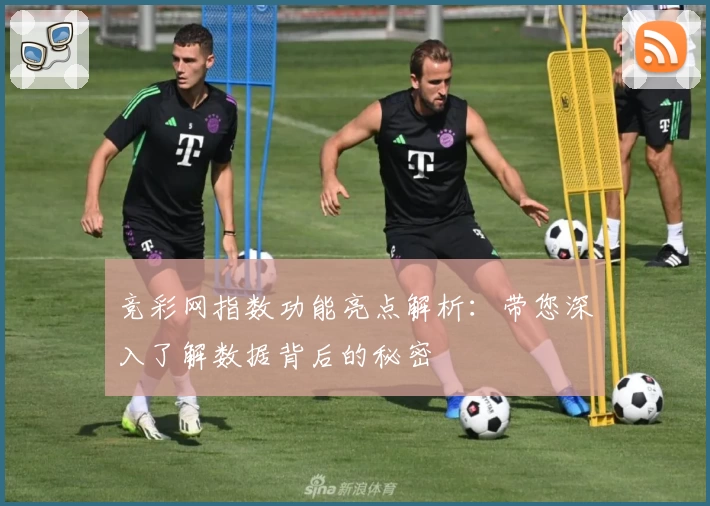 竞彩网指数功能亮点解析：带您深入了解数据背后的秘密