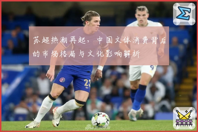 苏超热潮再起,中国文体消费背后的市场格局与文化影响解析