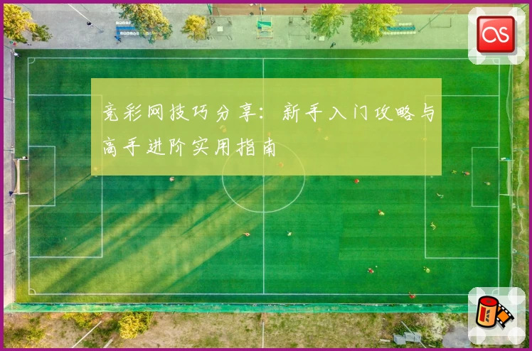 竞彩网技巧分享：新手入门攻略与高手进阶实用指南