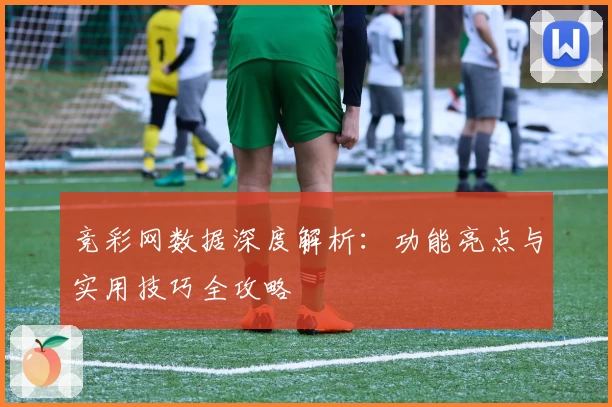 竞彩网数据深度解析：功能亮点与实用技巧全攻略