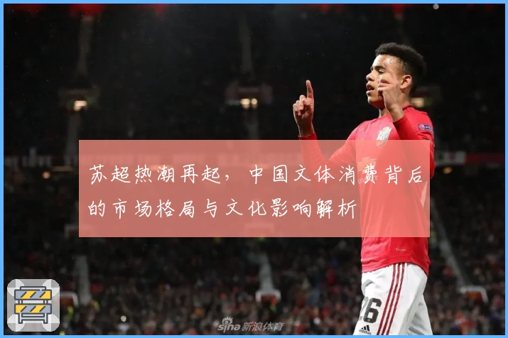 苏超热潮再起,中国文体消费背后的市场格局与文化影响解析